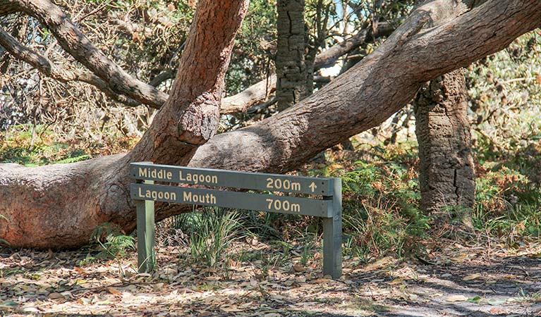 Devils Hole ACT Accommodation QLD