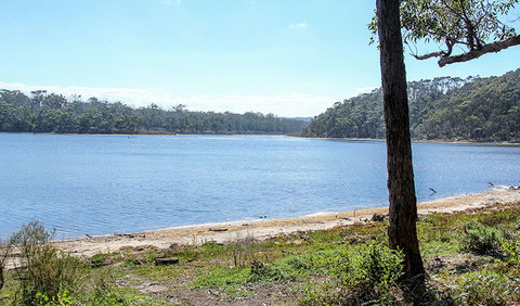 Middle Lagoon Walking Track - Accommodation QLD 1