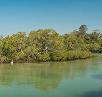Tyagarah Nature Reserve - Accommodation QLD