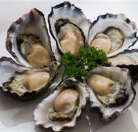 Tathra Oysters - Accommodation QLD