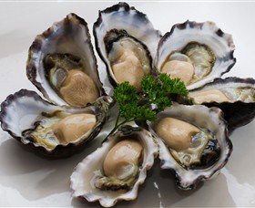 Tathra Oysters - Accommodation QLD 0