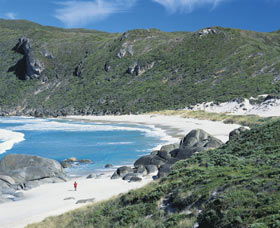 D'Entrecasteaux National Park - Accommodation QLD 0
