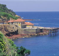 Merimbula Aquarium - Accommodation QLD