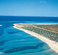 Monkey Mia - Accommodation QLD