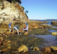 Sapphire Coast Marine Discovery Centre - Accommodation QLD