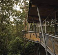 Tarkine Forest Adventures - Dismal Swamp - Accommodation QLD