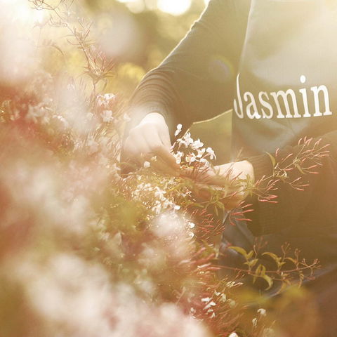 Jasmin Organics Skincare Farm And Factory - Accommodation QLD 8