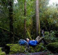 The Tarkine Drive - Accommodation QLD