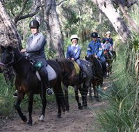 Mirravale Horse Riding School - Accommodation QLD