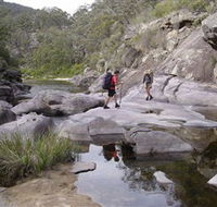 Nadgee Wilderness Walk - Accommodation QLD