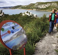 Rocky Cape National Park - Accommodation QLD