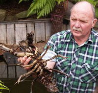 Lobster Ponds - Accommodation QLD