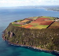 Table Cape - Accommodation QLD