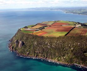 Table Cape - Accommodation QLD 0