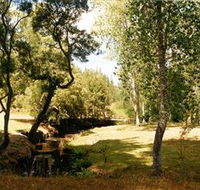 Oldina Picnic Area - Accommodation QLD