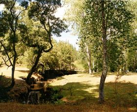 Oldina Picnic Area - Accommodation QLD 0