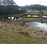 Guide Falls Farm - Accommodation QLD