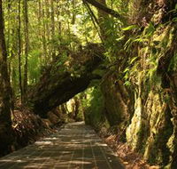 Philosopher Falls - Accommodation QLD