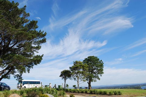 South Coast Scenic Tours - Accommodation QLD 6