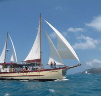 Adventure Cruise Dive and Outer Reef - Whitsundays Sailing Adventures - Accommodation QLD