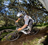 All Terrain Cycles - Accommodation QLD
