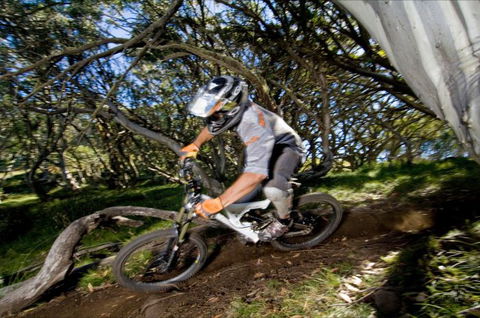All Terrain Cycles - Accommodation QLD 0