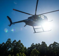 Tall Timbers Adventure Tours - Accommodation QLD