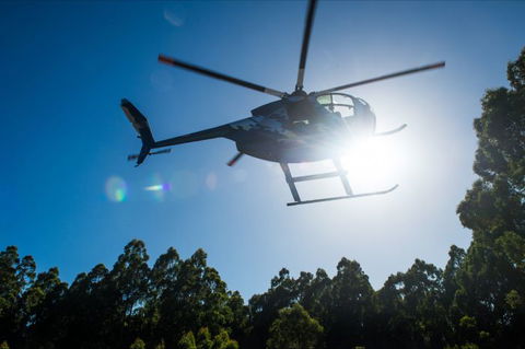 Tall Timbers Adventure Tours - Accommodation QLD 3