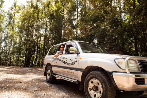 Tall Timbers Adventure Tours - Accommodation QLD 11