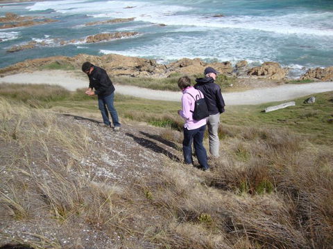 Tall Timbers Adventure Tours - Accommodation QLD 12