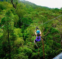 Canyon Flyer - Accommodation QLD
