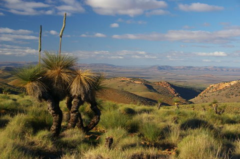 4WD Aussie Outback Adventures - Accommodation QLD 0