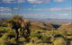 4WD Aussie Outback Adventures - thumb 2