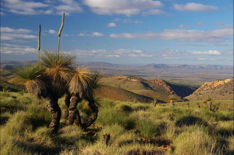 4WD Aussie Outback Adventures - Accommodation QLD 2