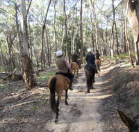 Silver Brumby Trails - Accommodation QLD
