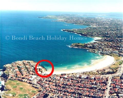 Bondi Beachfront Studio - Accommodation QLD 0