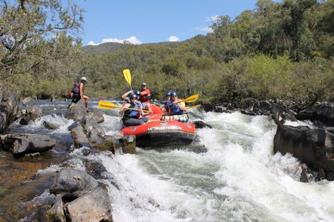 Rafting Australia - Accommodation QLD 2