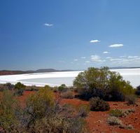 Gawler Ranges Wilderness Safaris - Accommodation QLD