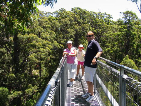 Out Of Sight Tours - Accommodation QLD 17