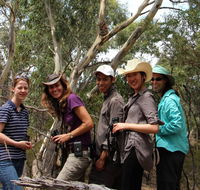 Echidna Walkabout Nature Tours - Accommodation QLD