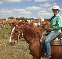 Myella Farm Stay Tours - Accommodation QLD