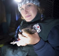 Naturewise at Tidbinbilla - Accommodation QLD