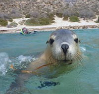 Calypso Star Charters - Accommodation QLD