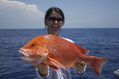 Absolute Ocean Charters - Accommodation QLD 3