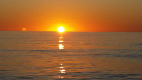 Absolute Ocean Charters - Accommodation QLD 16