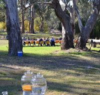 Glendale Citrus  Hazelnut Orchard - Accommodation QLD