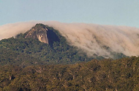 North Queensland Wildscapes Phototours - Accommodation QLD 0