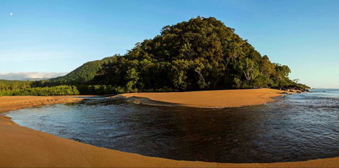 North Queensland Wildscapes Phototours - Accommodation QLD 1