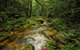 North Queensland Wildscapes Phototours - thumb 2
