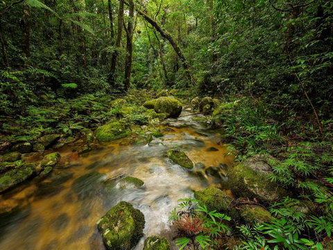 North Queensland Wildscapes Phototours - Accommodation QLD 2